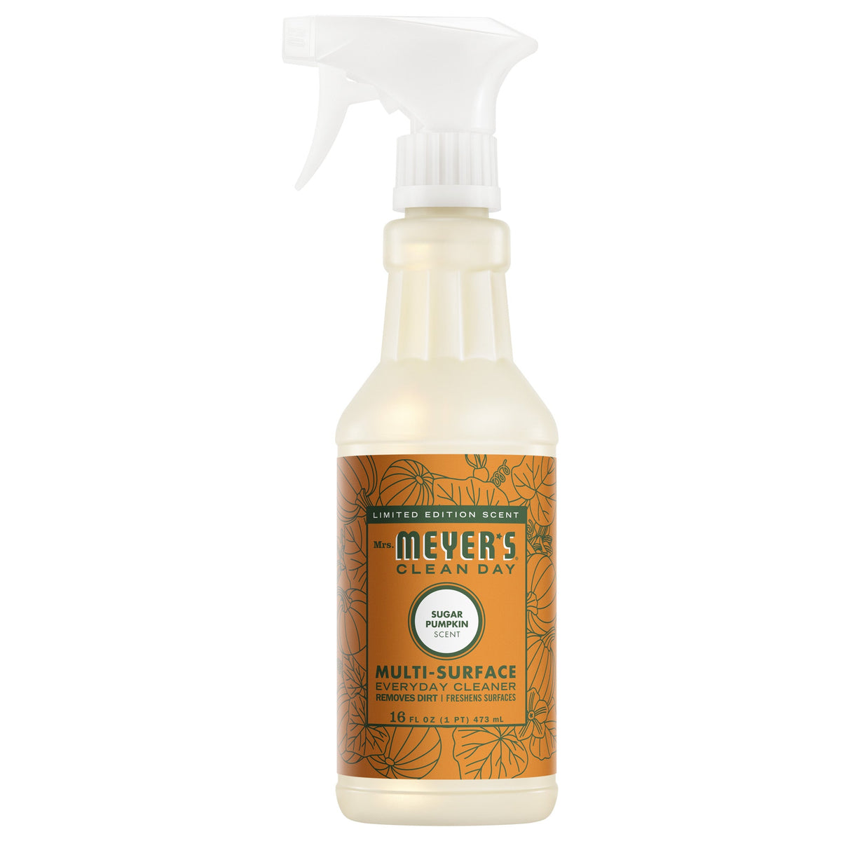 Sugar Pumpkin Multi-Surface Everyday Cleaner - Everyday Clean