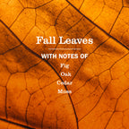 Fall Leaves Plug In Scented Oil Refill, 2-Pack