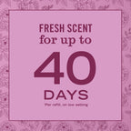Peony Plug In Scented Oil Refill, 2-Pack