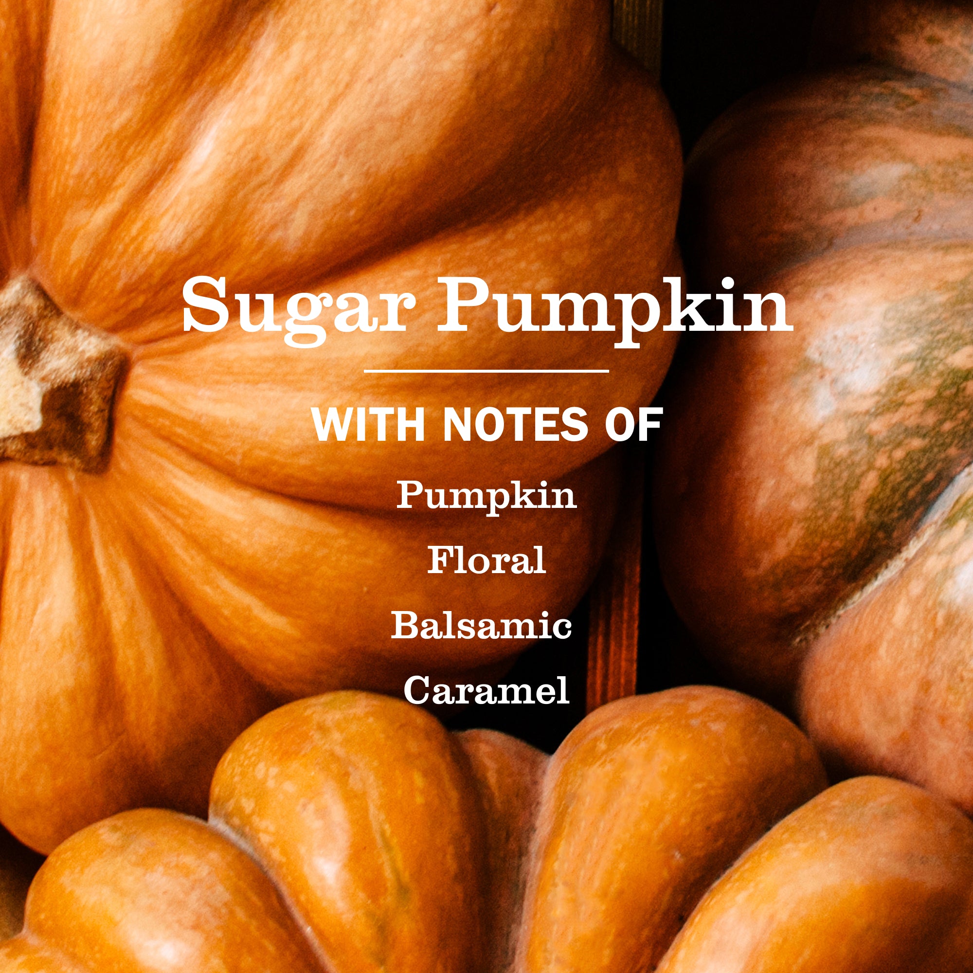 Sugar Pumpkin Multi-Surface Everyday Cleaner - Everyday Clean
