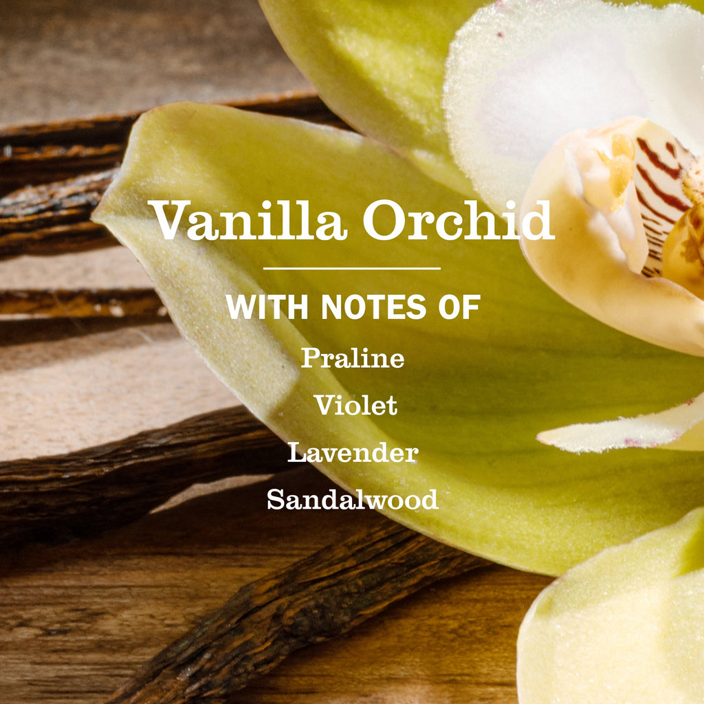 Vanilla Orchid Liquid Hand Soap - Daily Care