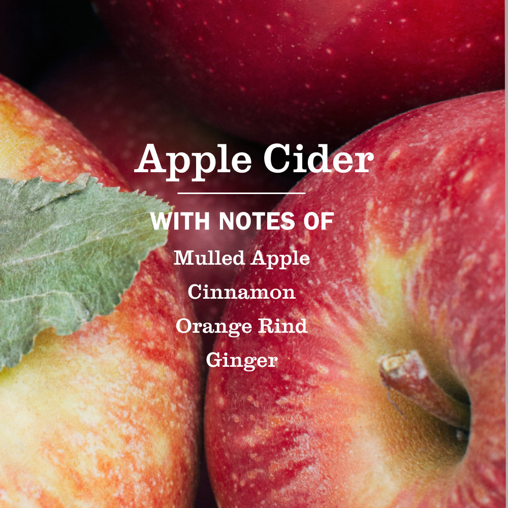 Apple Cider Kitchen Basics Set