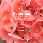 Geranium Liquid Hand Soap & Refill Set - Daily Care