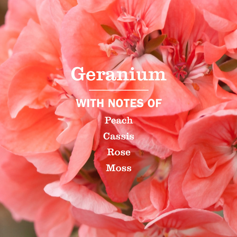 Geranium Liquid Hand Soap & Refill Set