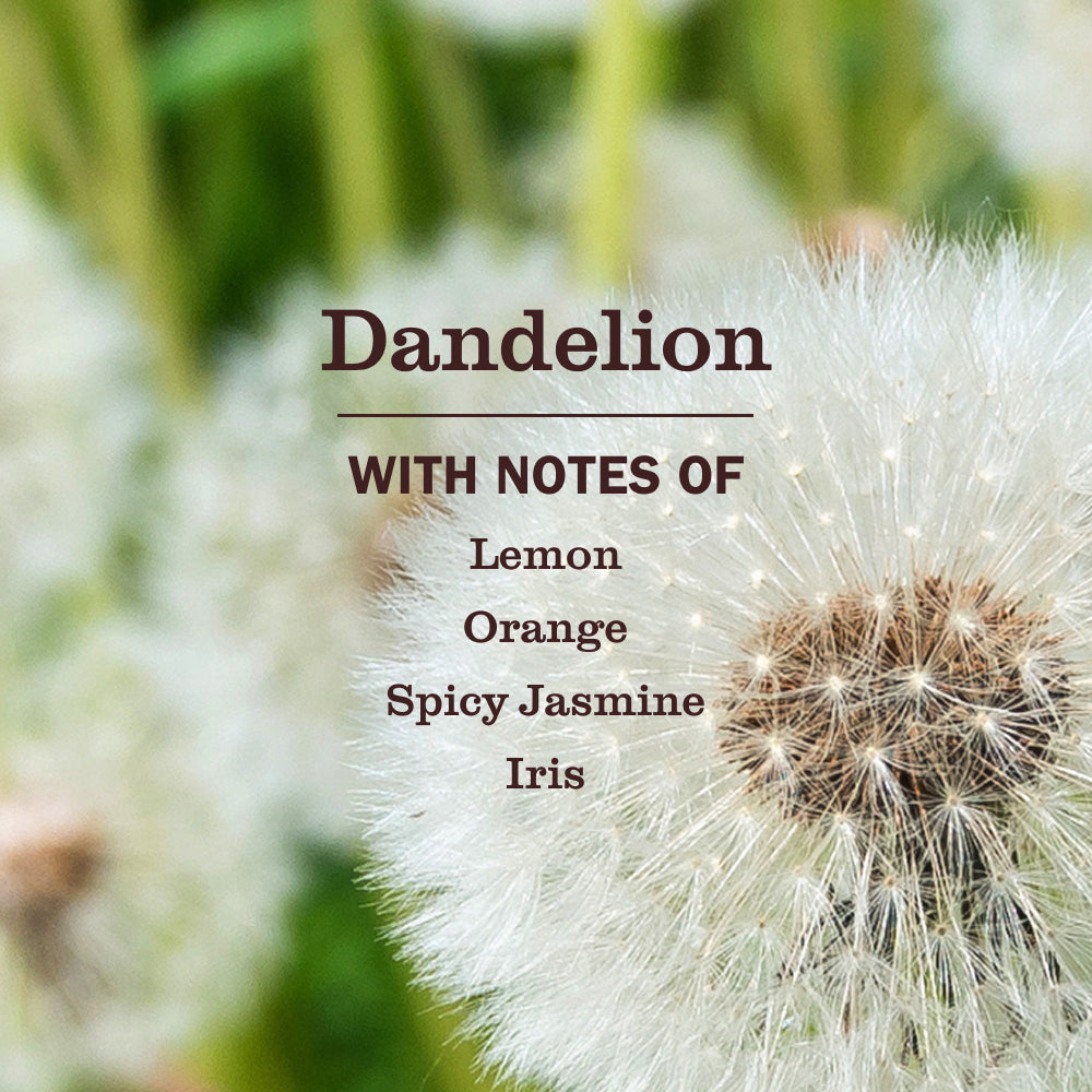 Dandelion Multi-Surface Everyday Cleaner
