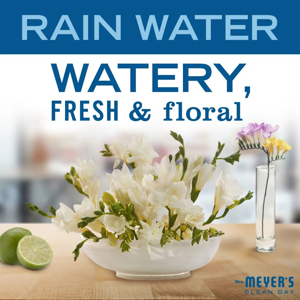 Rain Water Daily Bar Soap - Daily Freshness