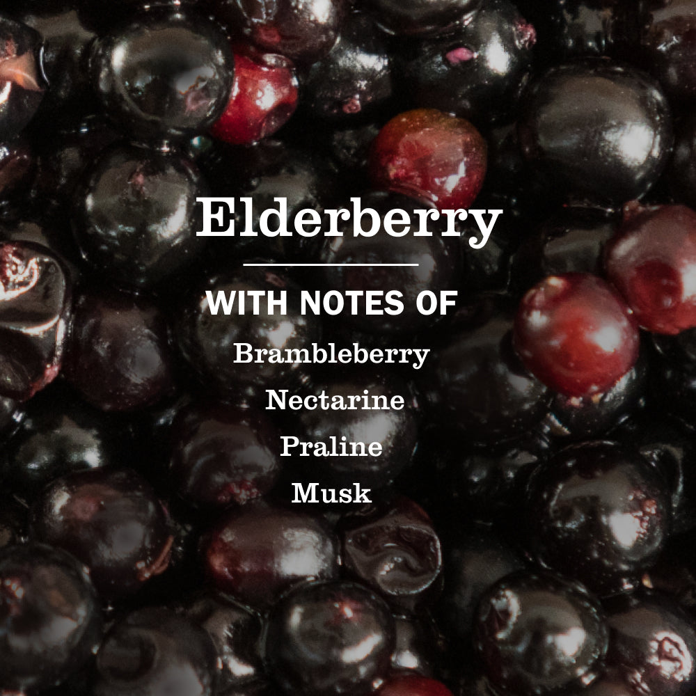Elderberry Multi-Surface Everyday Cleaner 3-count Bundle
