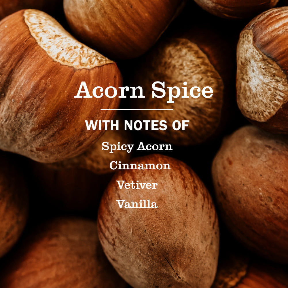 Acorn Spice Multi-Surface Everyday Cleaner 3-count Bundle - Everyday Clean