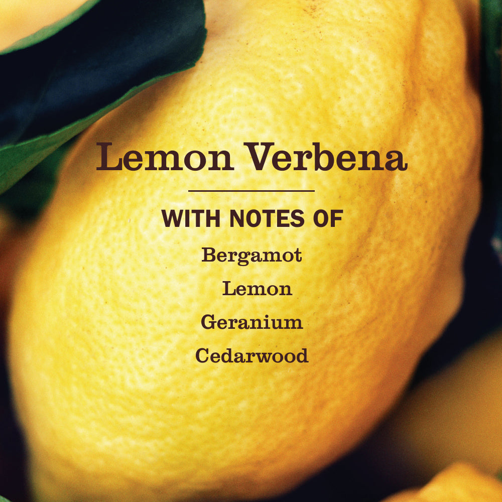 Lemon Verbena Dish Soap