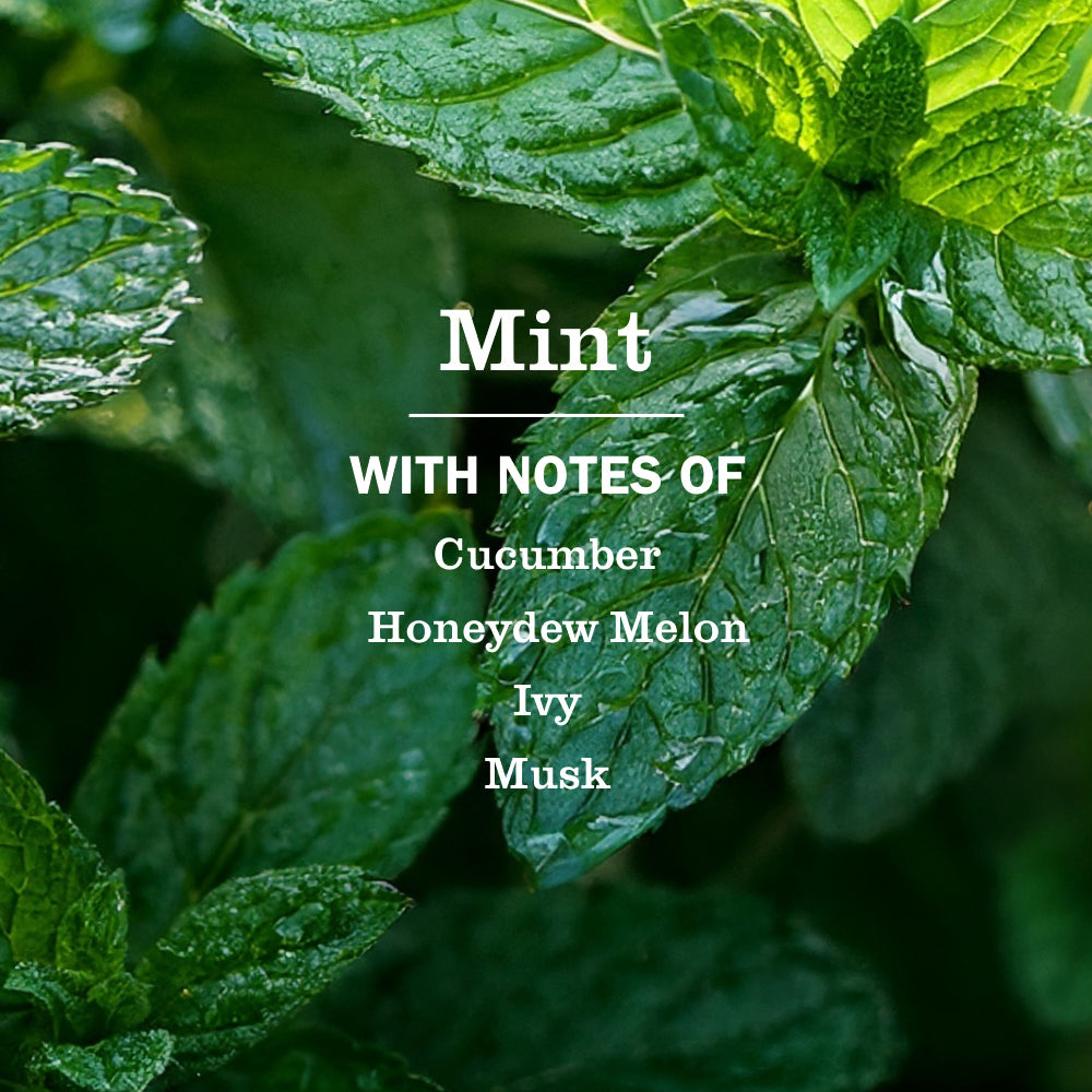 Mint Liquid Hand Soap