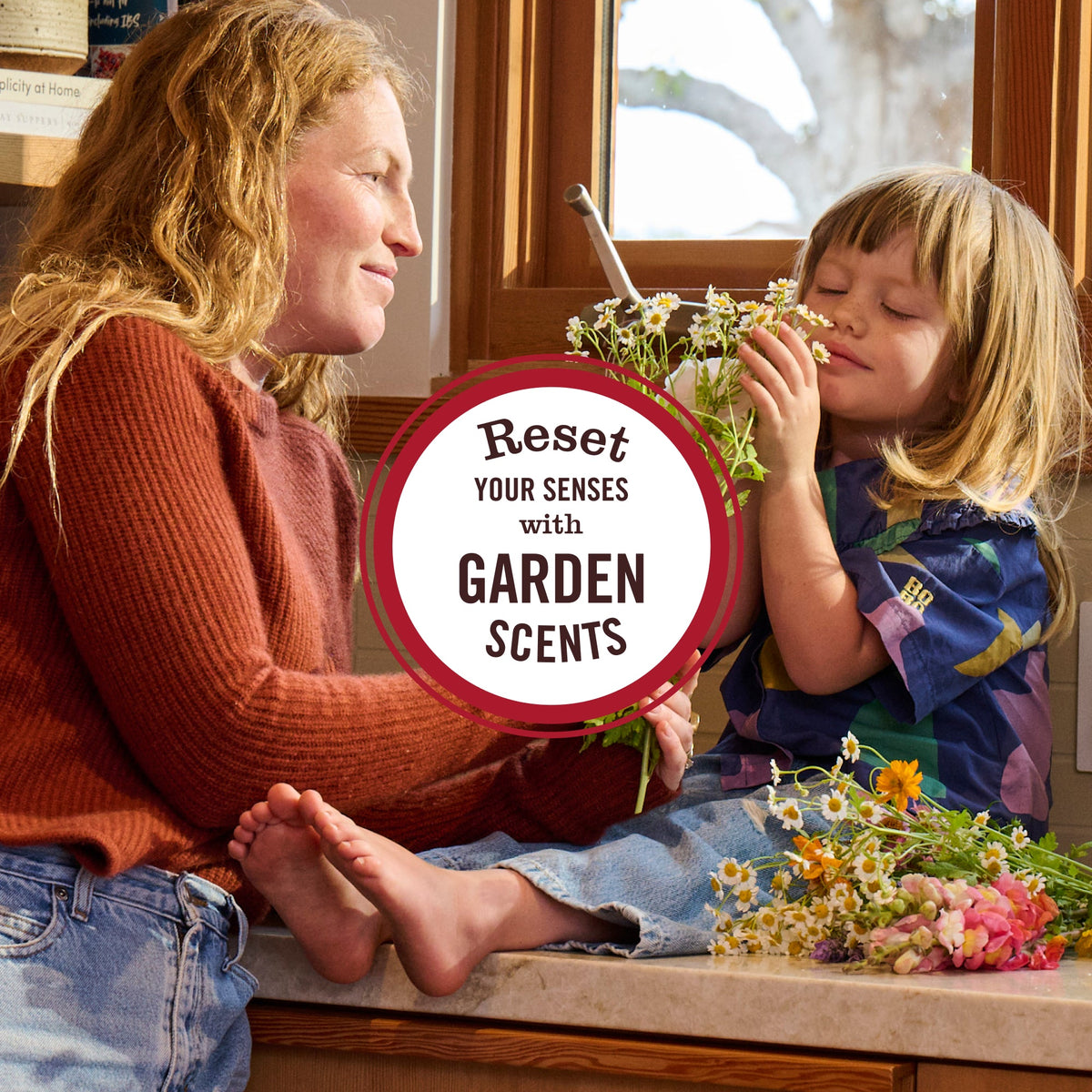 Acorn Spice Room Freshener