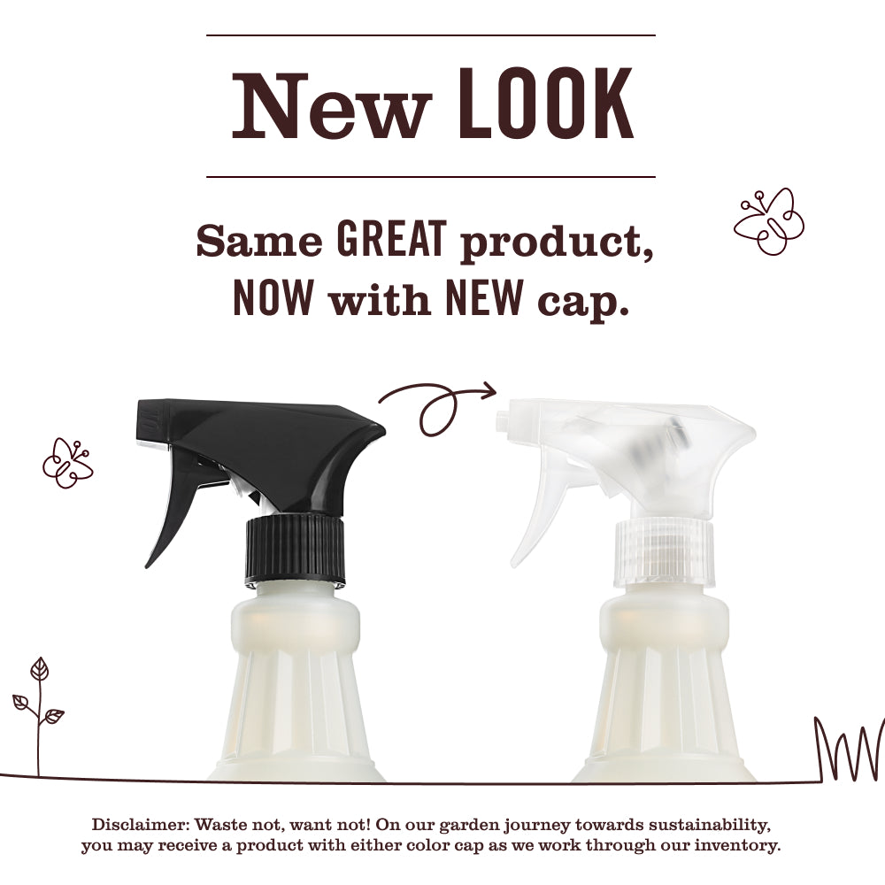 Iowa Pine Multi-Surface Everyday Cleaner
