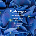 Hydrangea Liquid Hand Soap - Daily Care
