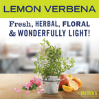 Lemon Verbena Vinegar Gel Cleaning Spray - Everyday Clean