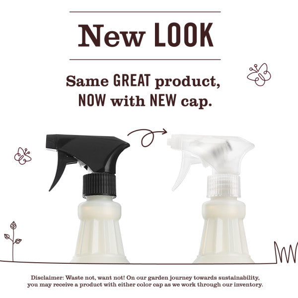 Spring Seasonal Multi-Surface Everyday Cleaner Collection - Everyday Clean