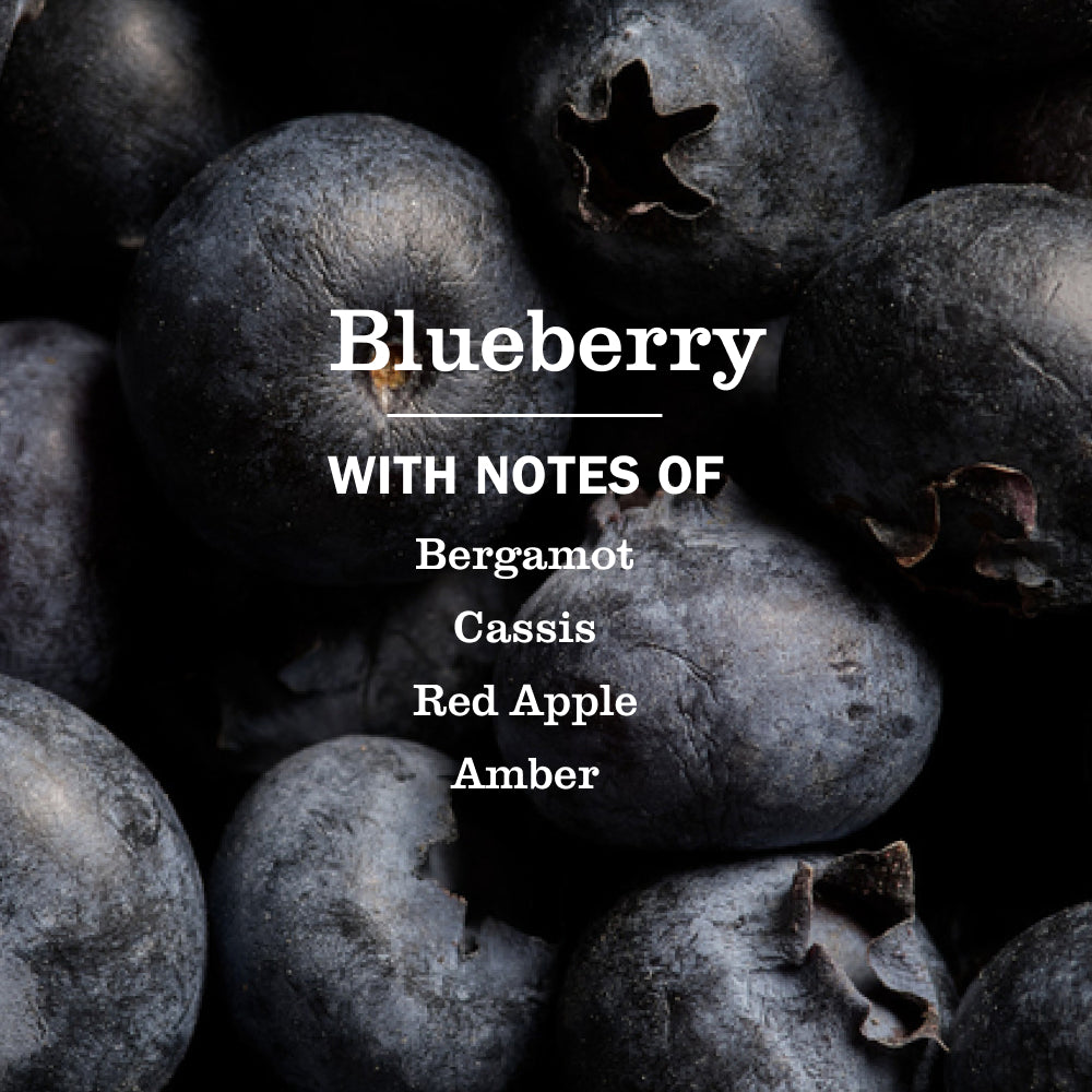 Blueberry Multi-Surface Everyday Cleaner - Everyday Clean