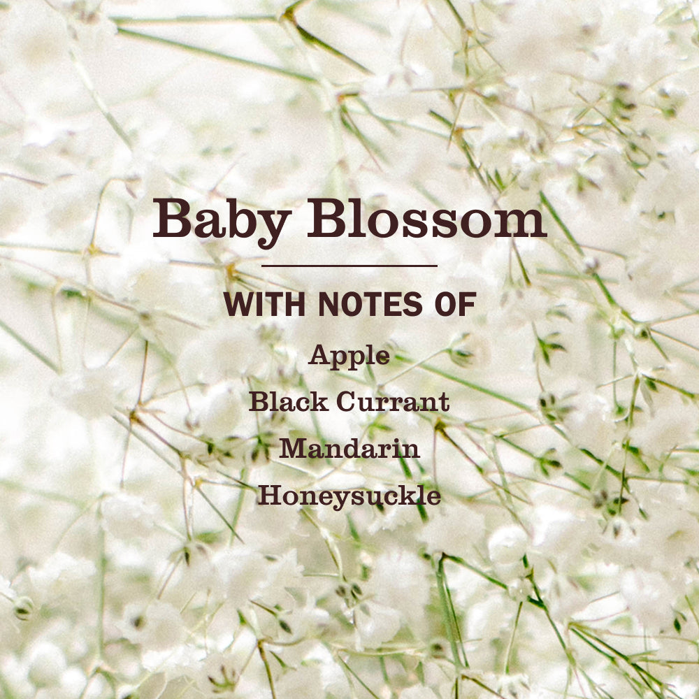 Baby Blossom Laundry Detergent - Fresh Laundry