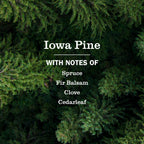 Iowa Pine Dish Soap