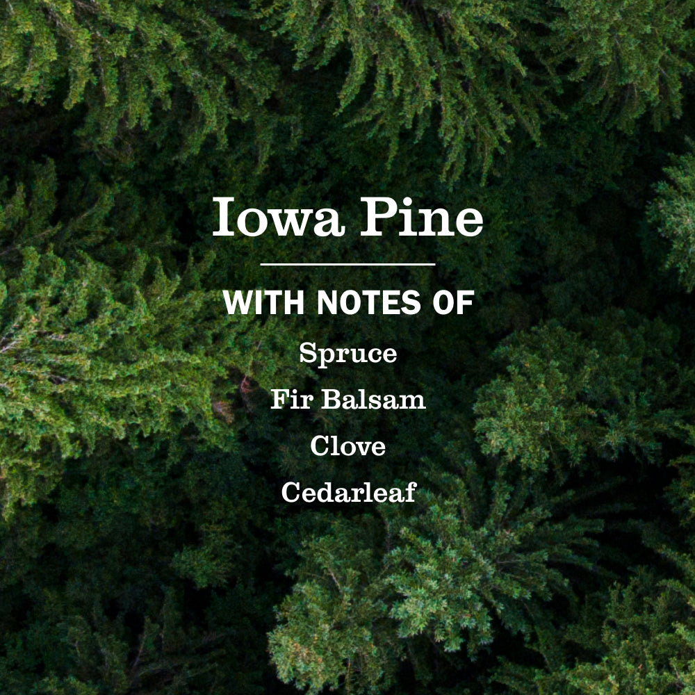 Iowa Pine Dish Soap