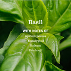 Basil Room Freshener