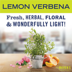 Lemon Verbena Baking Soda Cream Cleaner - 16 oz - Everyday Clean
