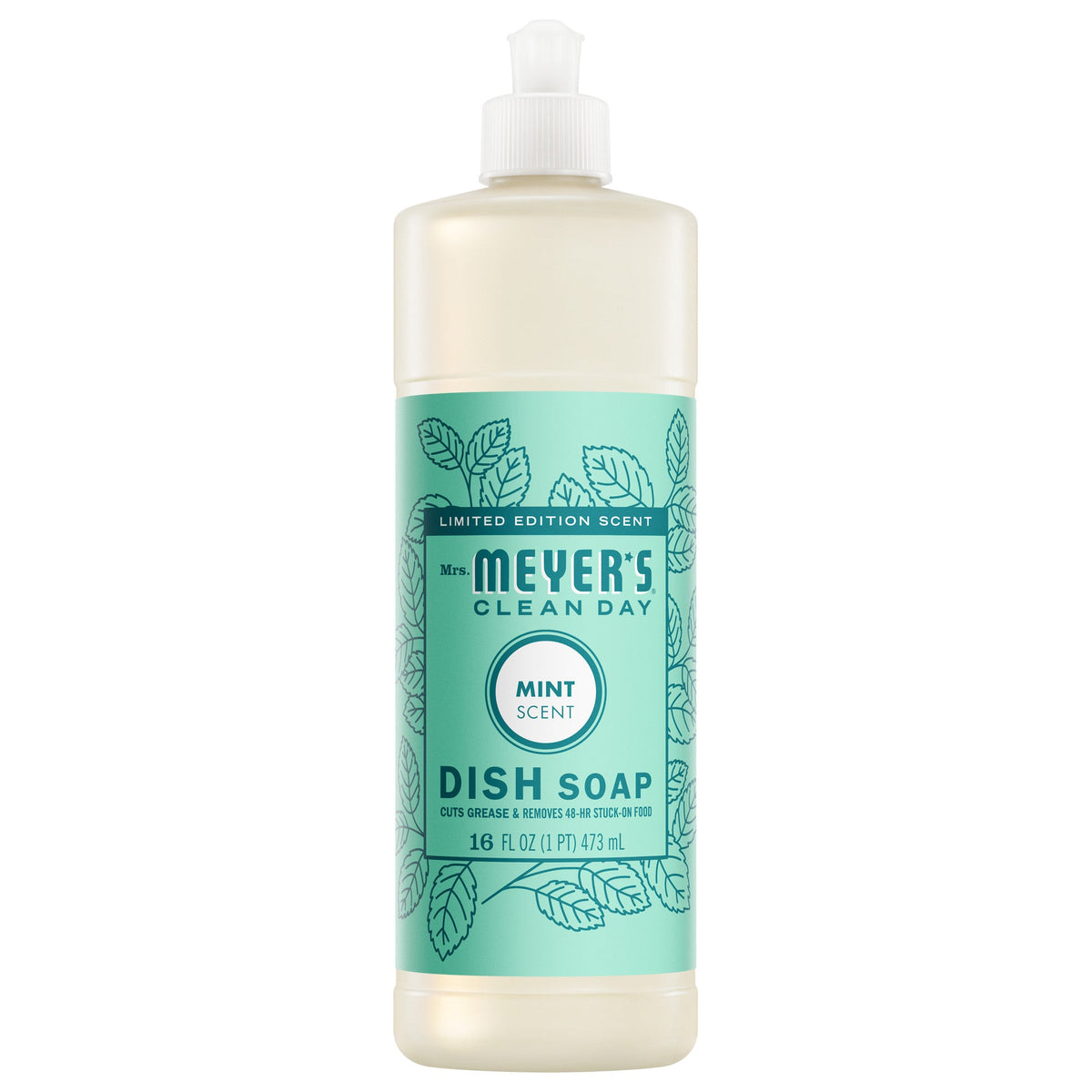 Mint Dish Soap - Daily Clean