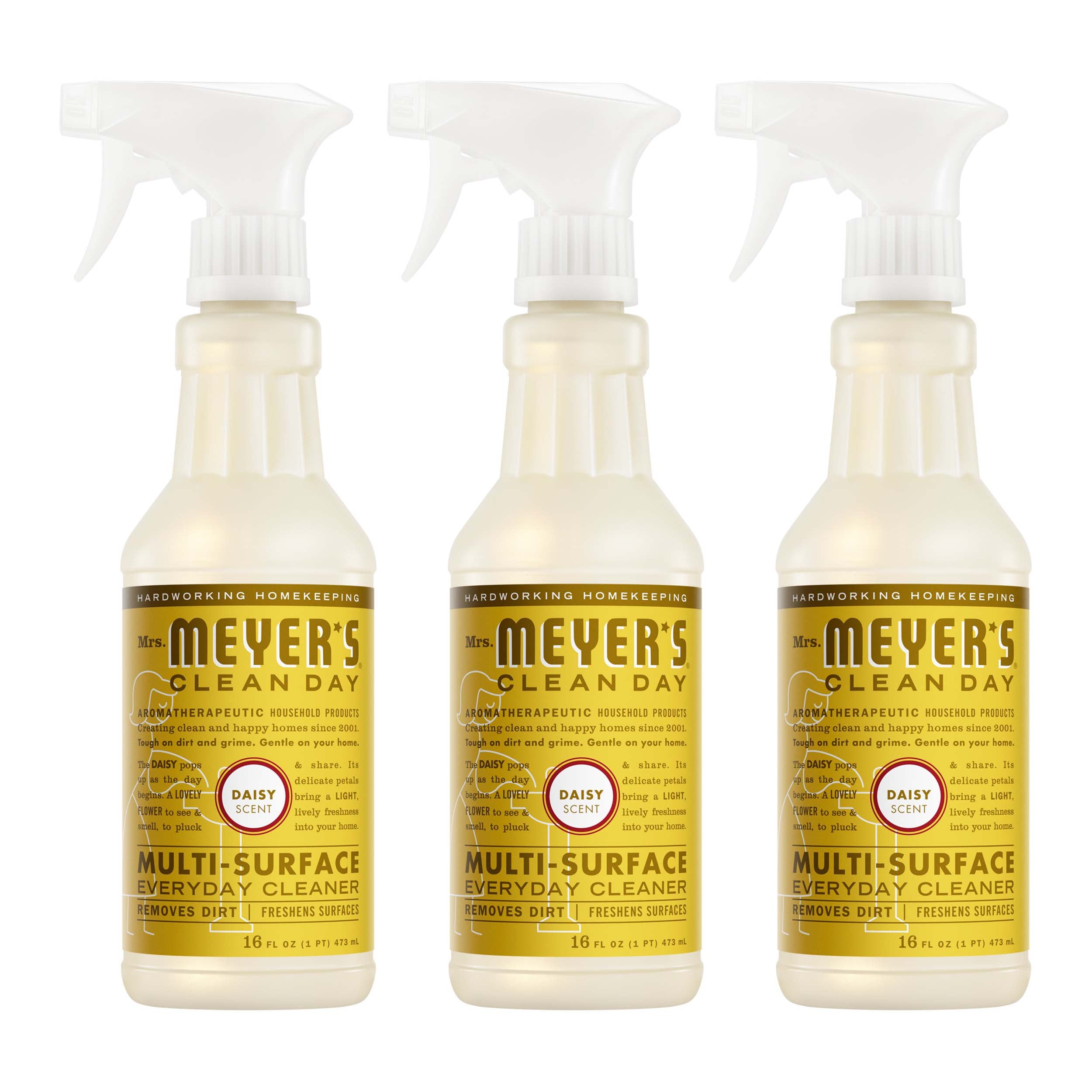 Daisy Multi-Surface Everyday Cleaner 3-count Bundle - Everyday Clean