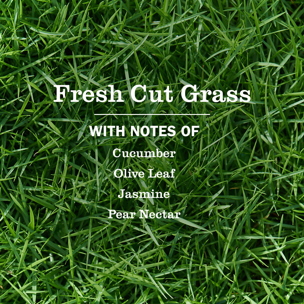 Fresh Cut Grass Dish Soap