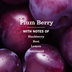 Plum Berry Liquid Hand Soap Refill