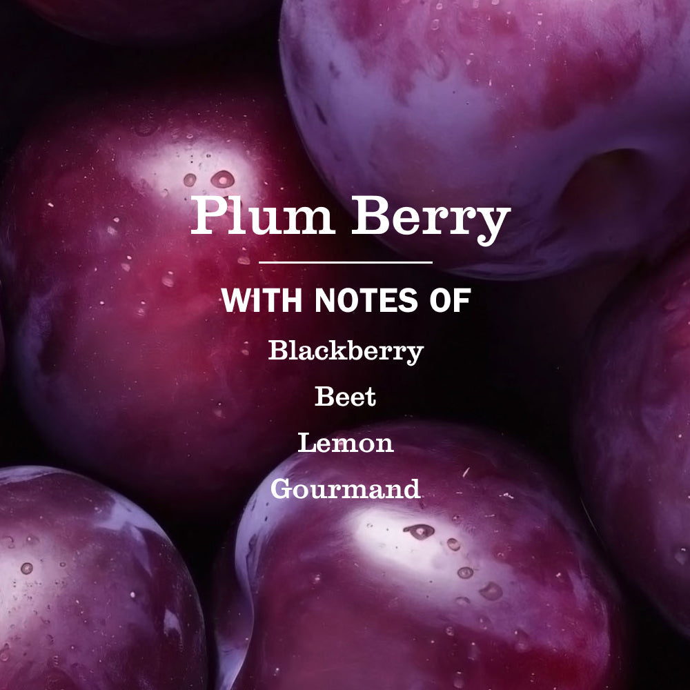 Plum Berry Liquid Hand Soap & Refill Set - Daily Care