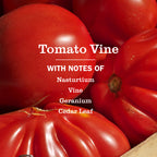 Tomato Vine Dish Soap 3-count Bundle
