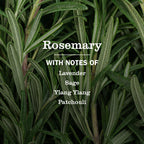Rosemary Liquid Hand Soap