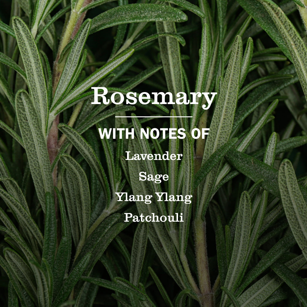 Rosemary Multi-Surface Everyday Cleaner - Everyday Clean